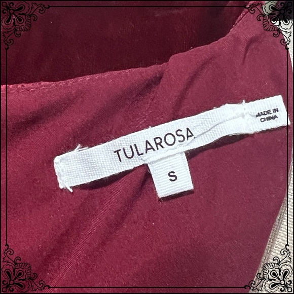 TULAROSA Mini Empire Waist Velvet Dress - Size S / NWT - Picture 8 of 11